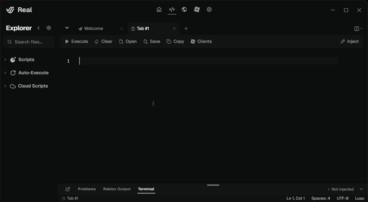 Real application interface preview